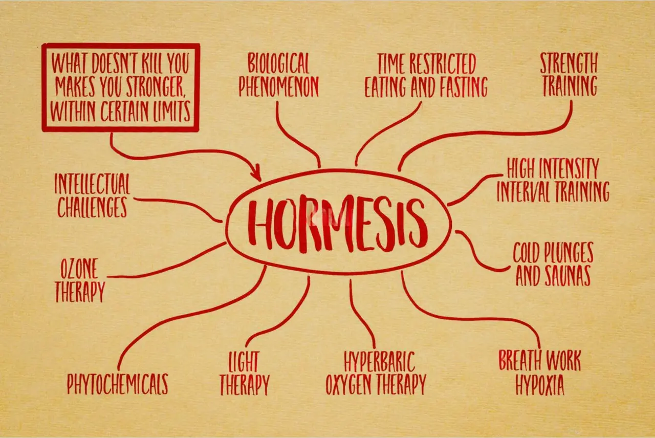 Hormesis, Exercise Salience and Inflamation